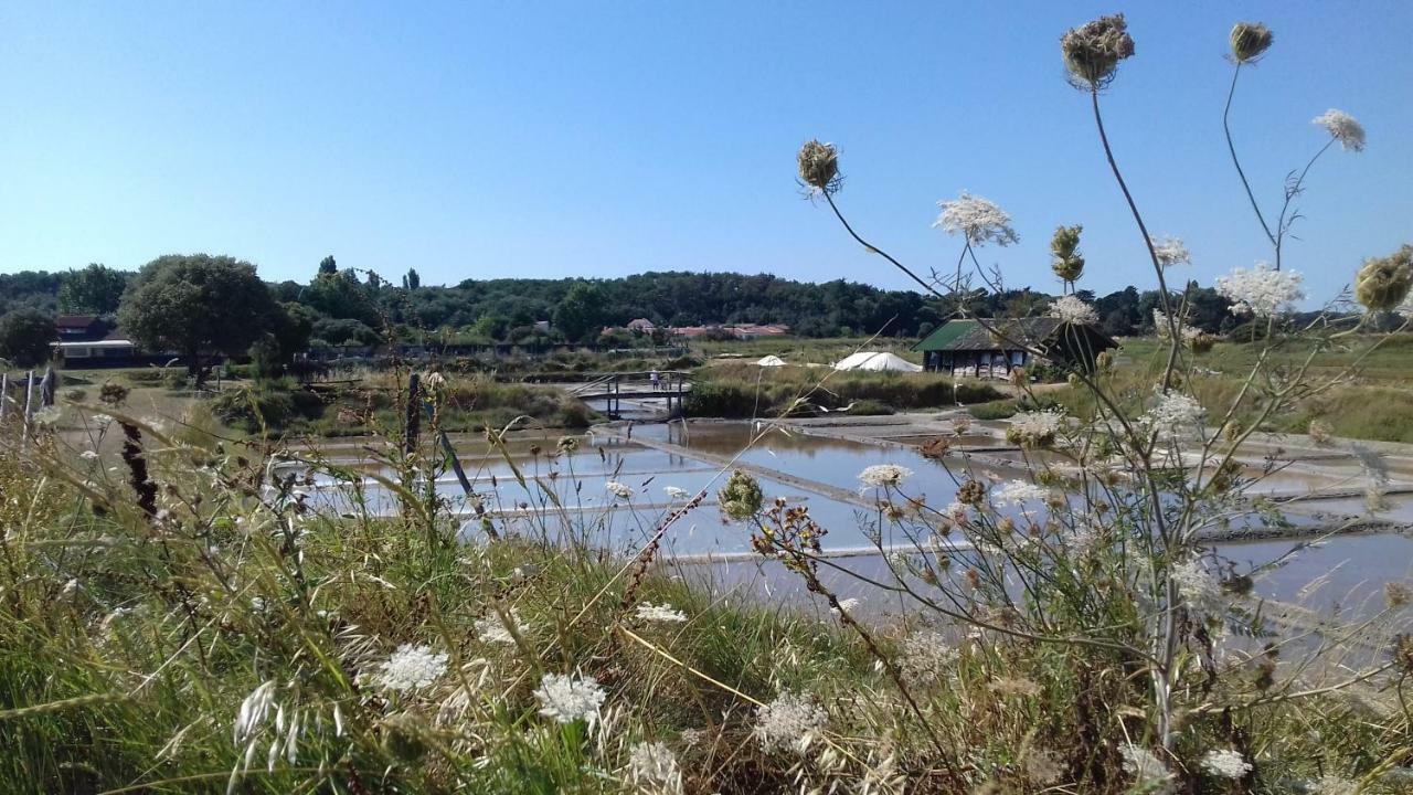 La Chaumette Villa Les Sables-d'Olonne Bagian luar foto